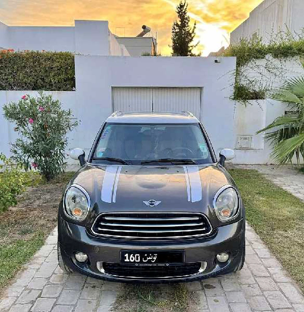 Mini Countryman