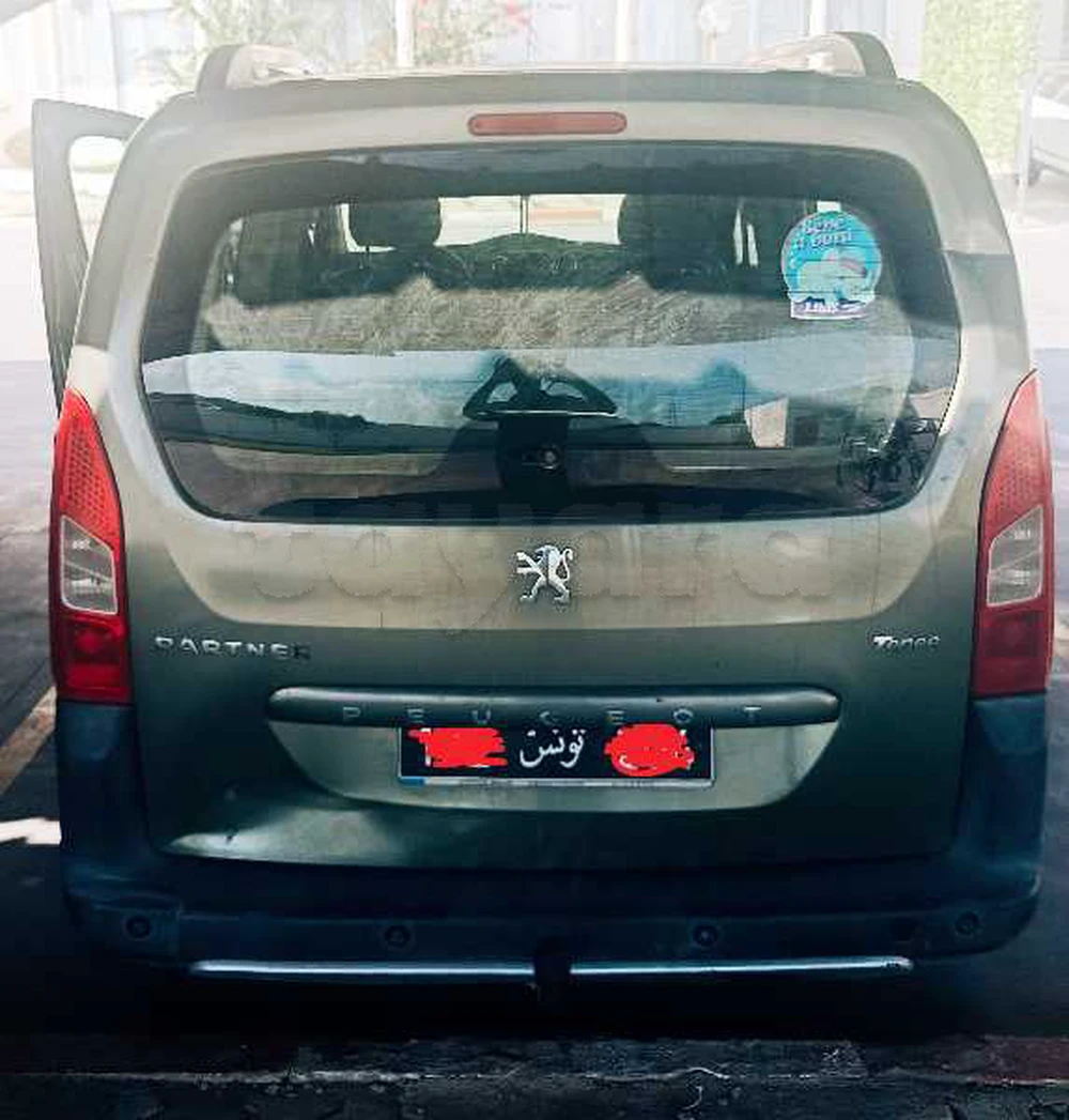 Peugeot Tepee