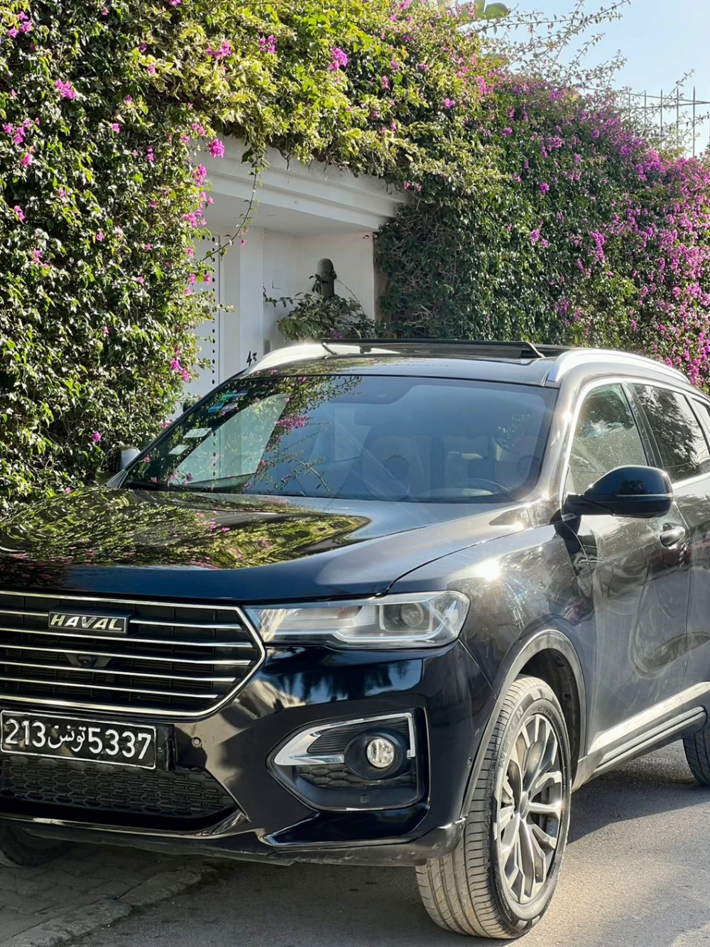 Carte voiture Haval H6