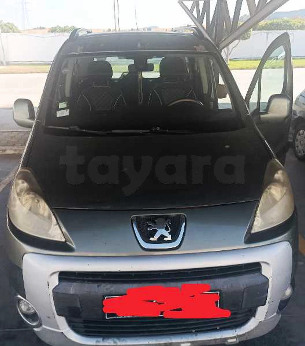 Peugeot Tepee