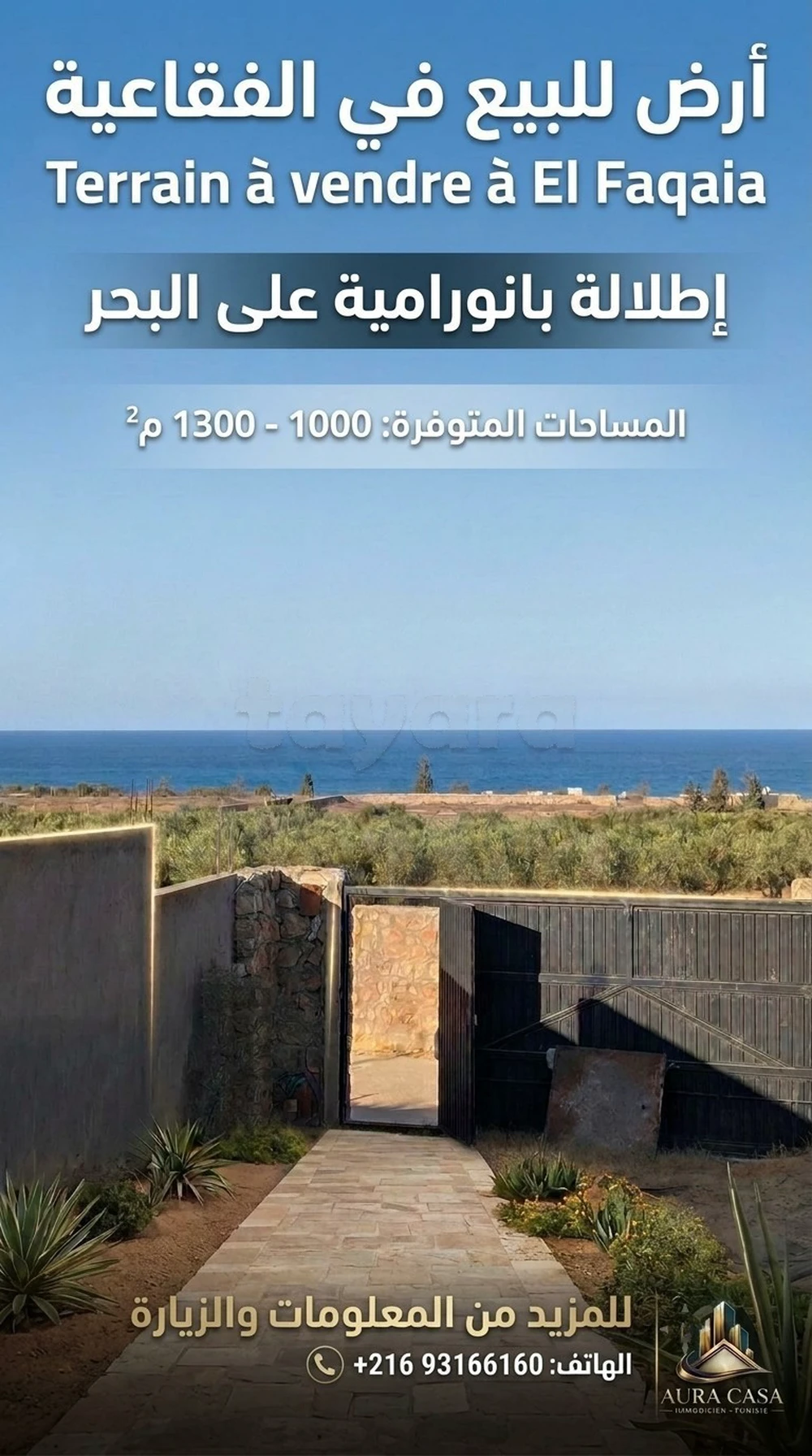 TERRAIN À VENDRE À EL FEKAAIA – VUE PANORAMIQUE EXCEPTIONNELLE SUR LA MER !*🌊