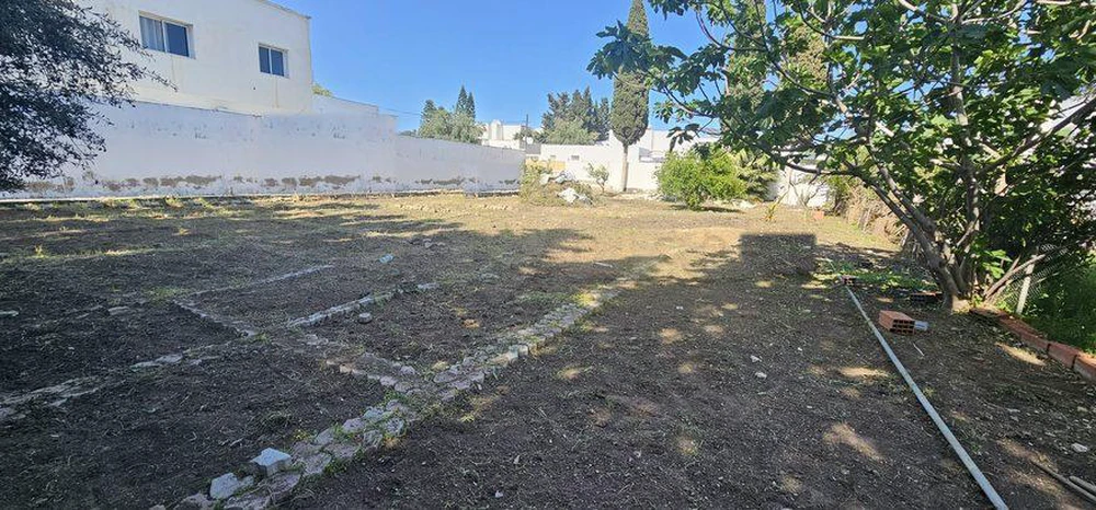 Terrain 831 m² La Soukra — 22 m façade, R+2, titre bleu