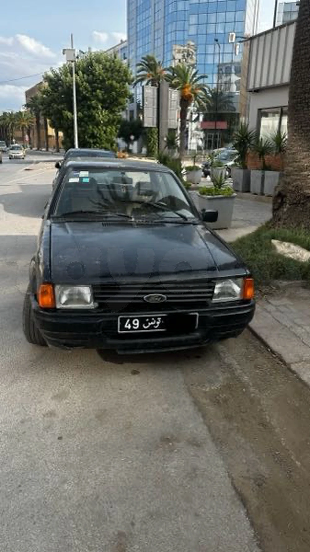 Carte voiture Ford Orion