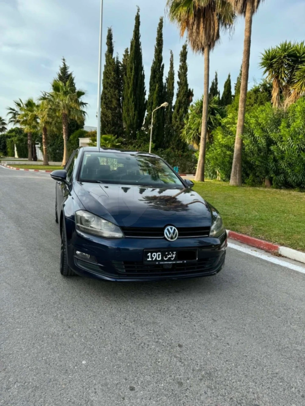 Carte voiture Volkswagen Golf