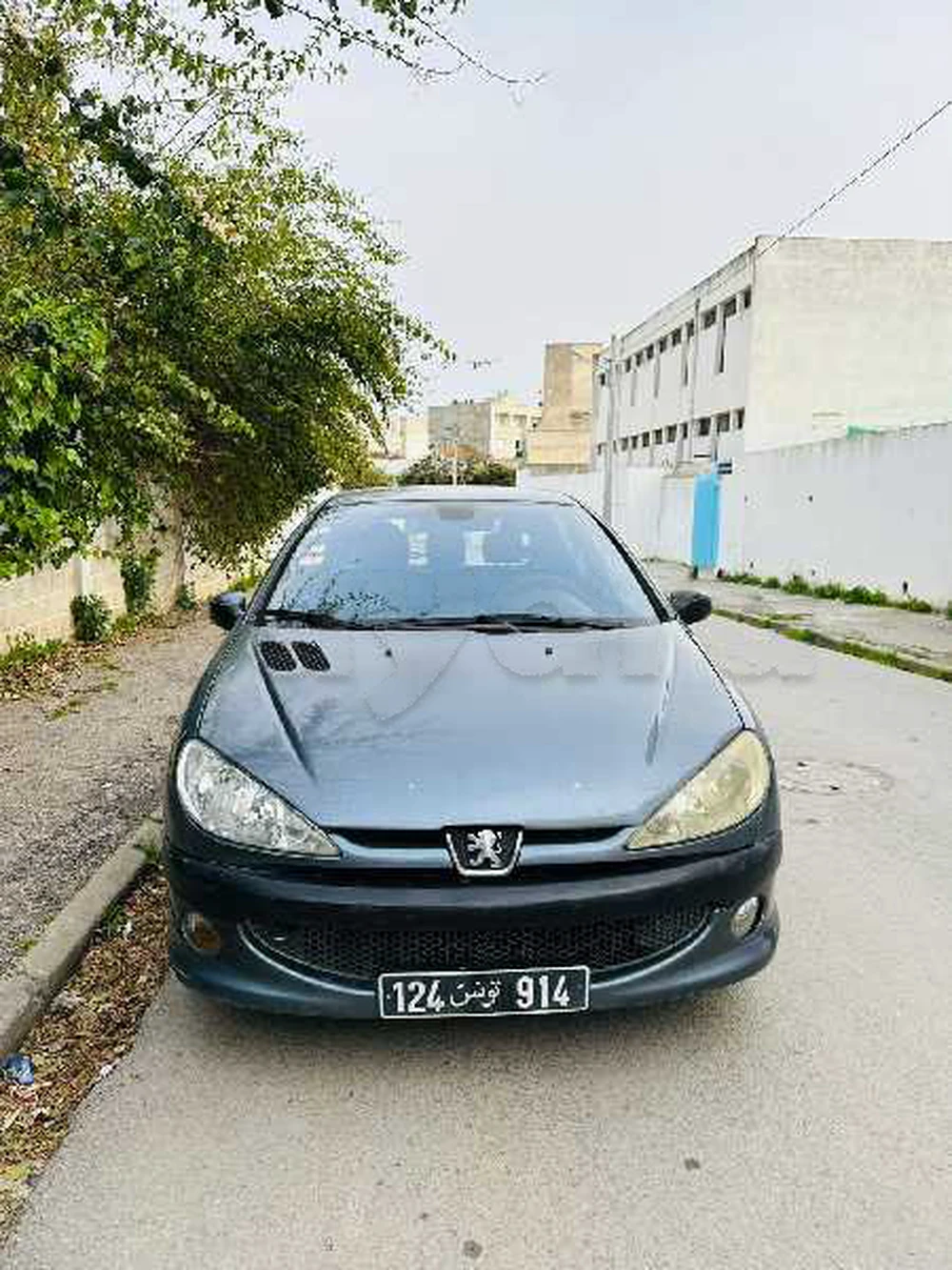 Carte voiture Peugeot 206