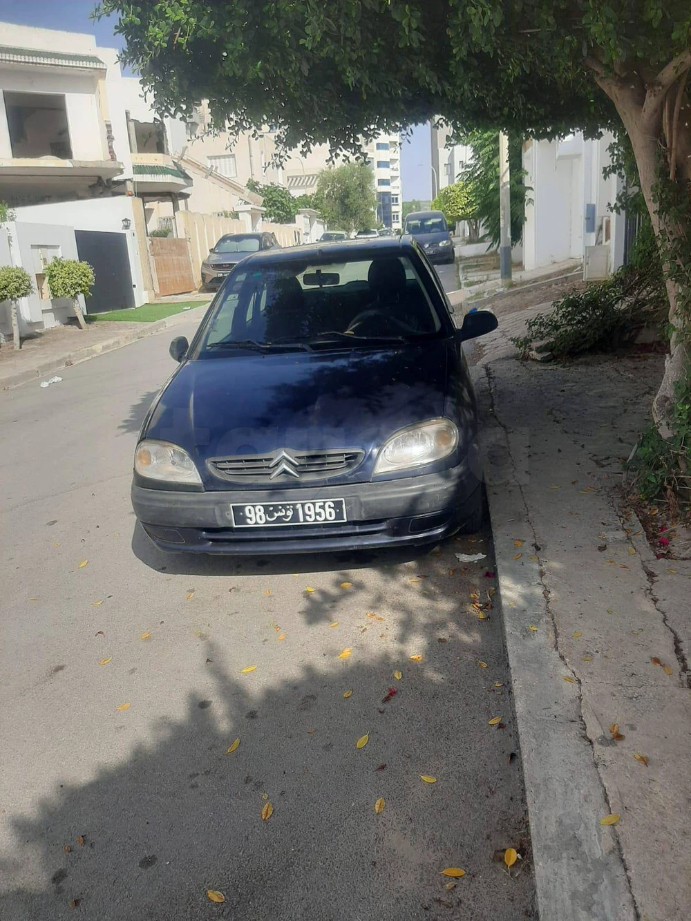 Carte voiture Citroen Saxo