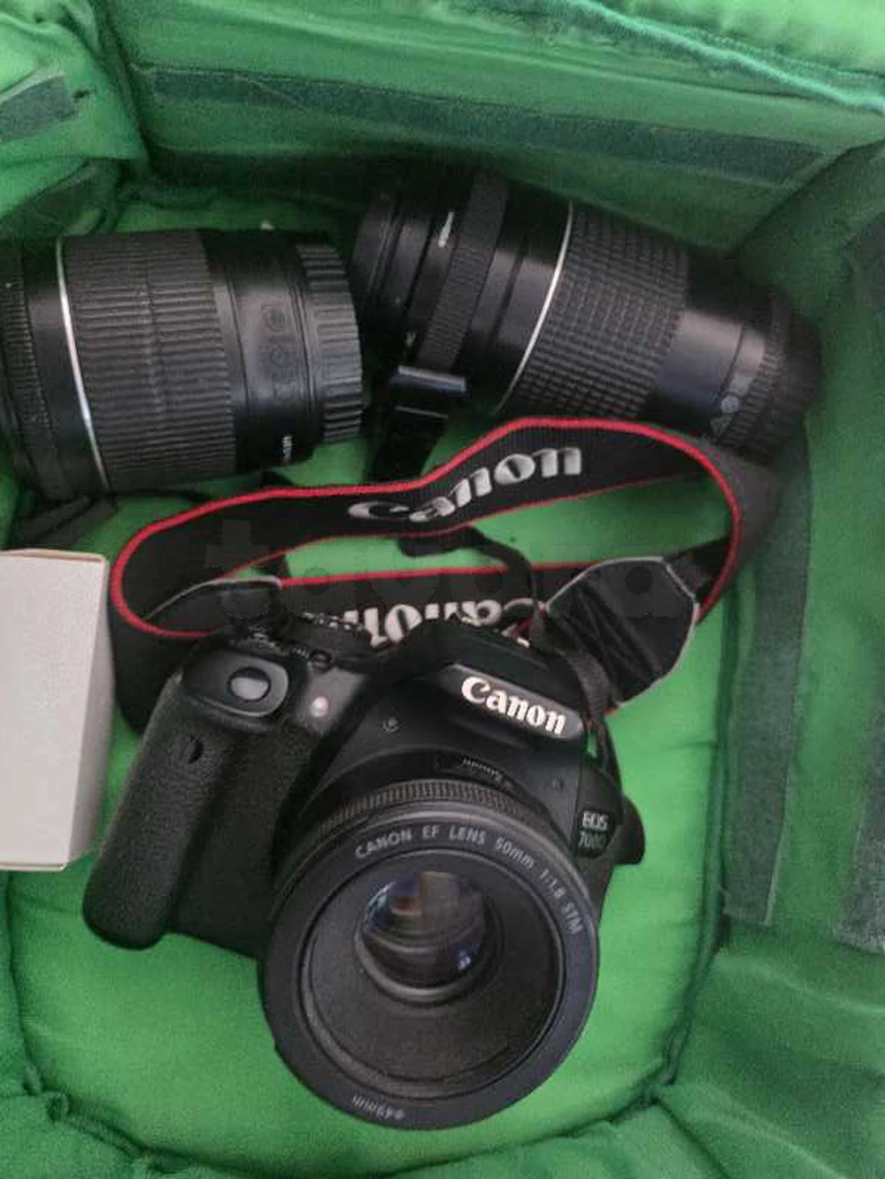 canon eos d700