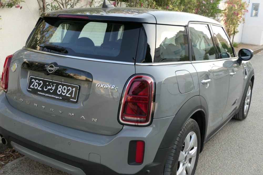 Mini Countryman