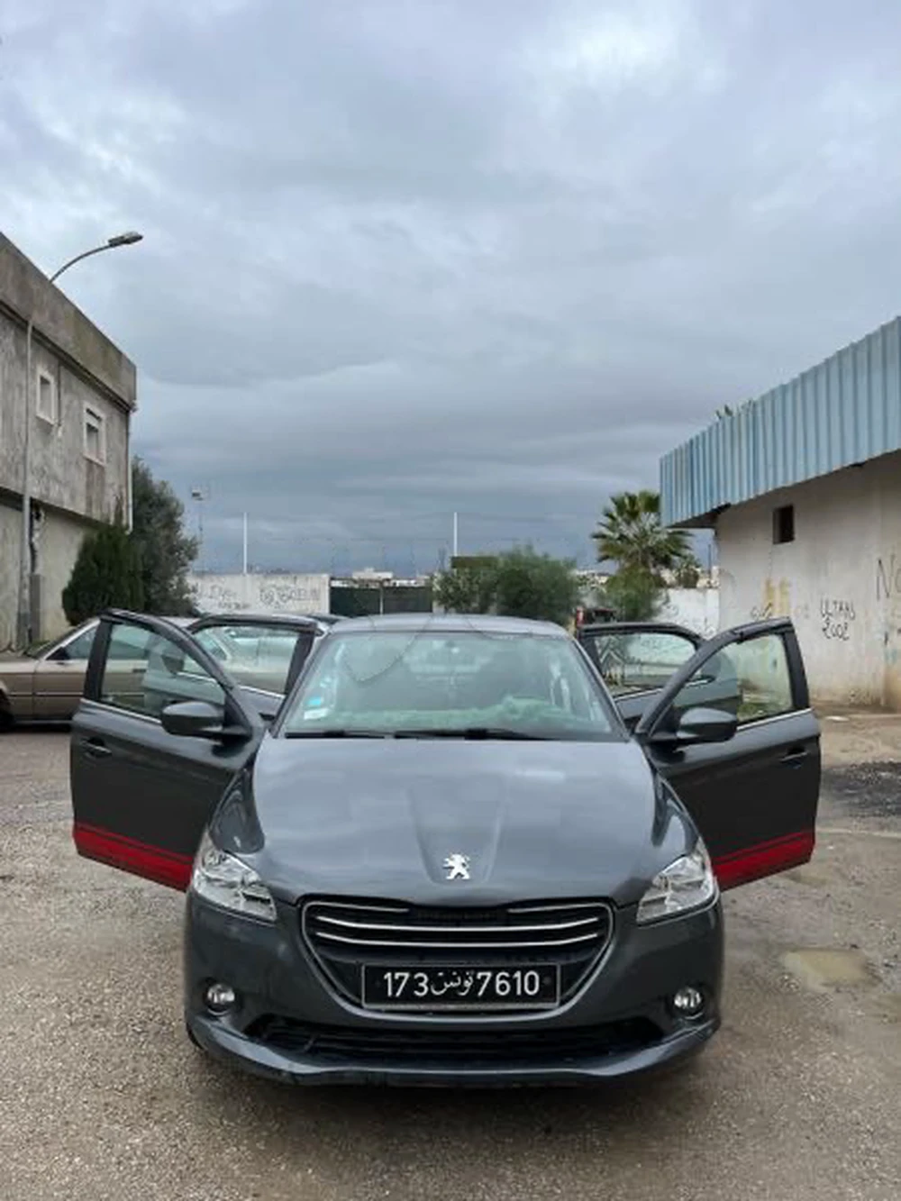 Carte voiture Peugeot 301