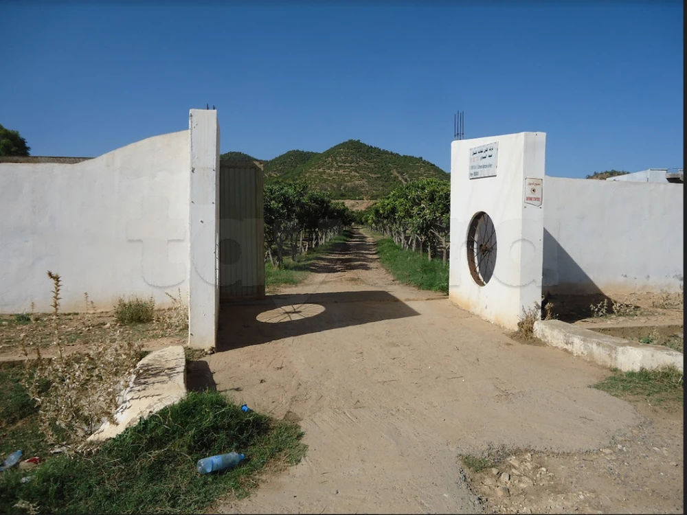 9 hectar bouarada Avec puits et sondage