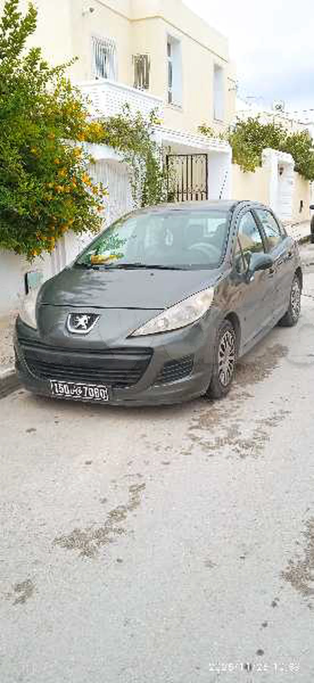 Carte voiture Peugeot 207