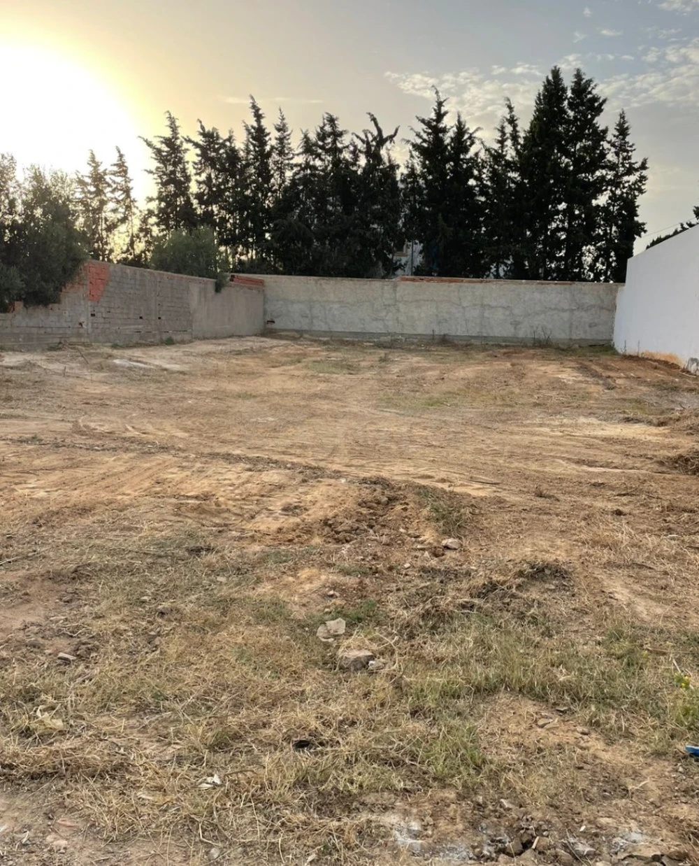 A vendre terrain à titre bleu à Monchar Hammamet (zone entourée de villas)