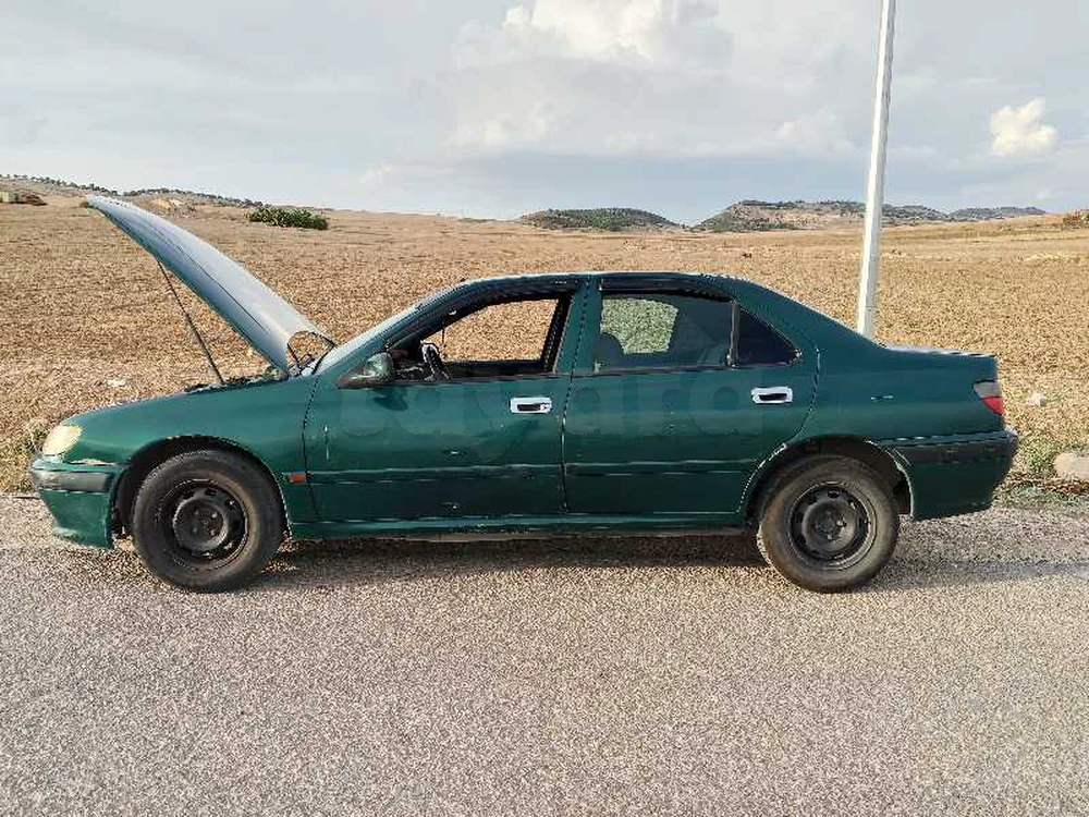 Peugeot 406