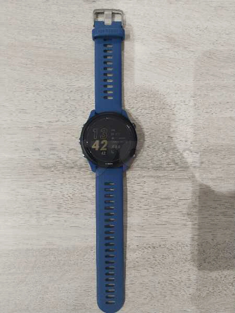 Garmin Forerunner 255