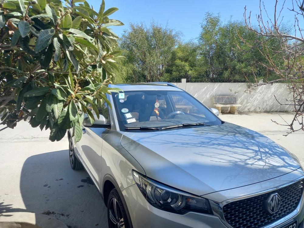 MG ZS