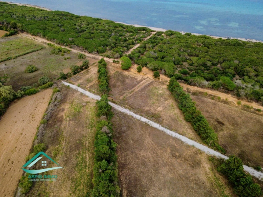 Terrain 1149 m² à 250 mètres plage Kerkouane