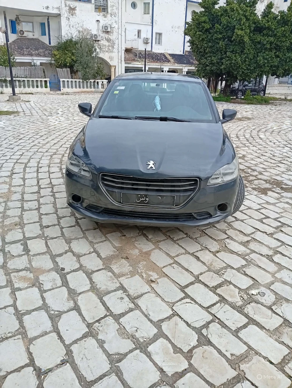 Carte voiture Peugeot 301