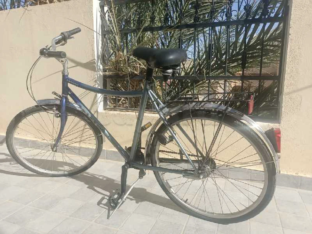 vélo a vendre