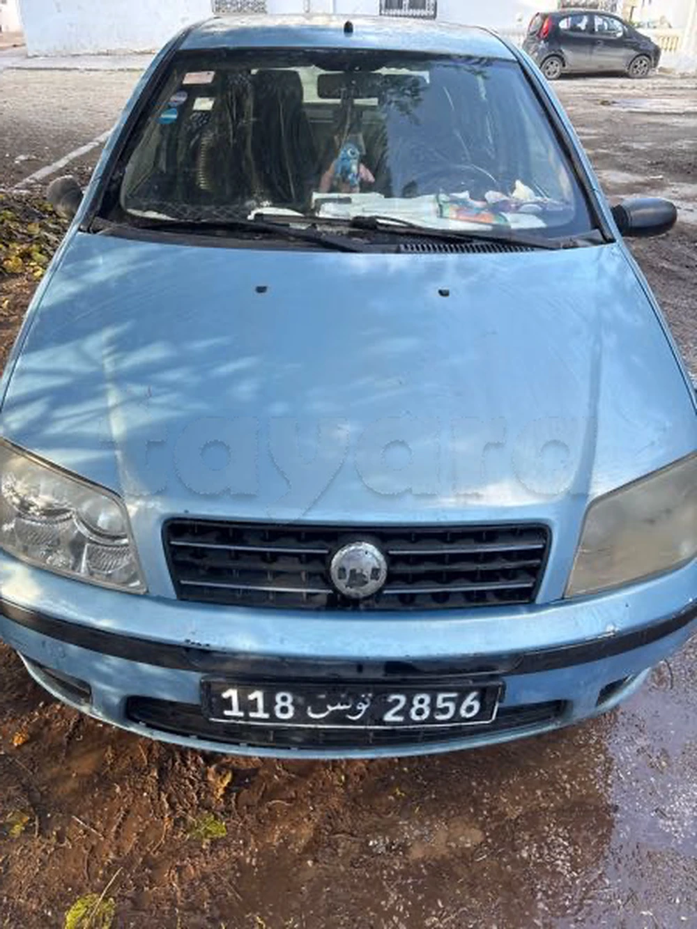 Carte voiture Fiat Punto