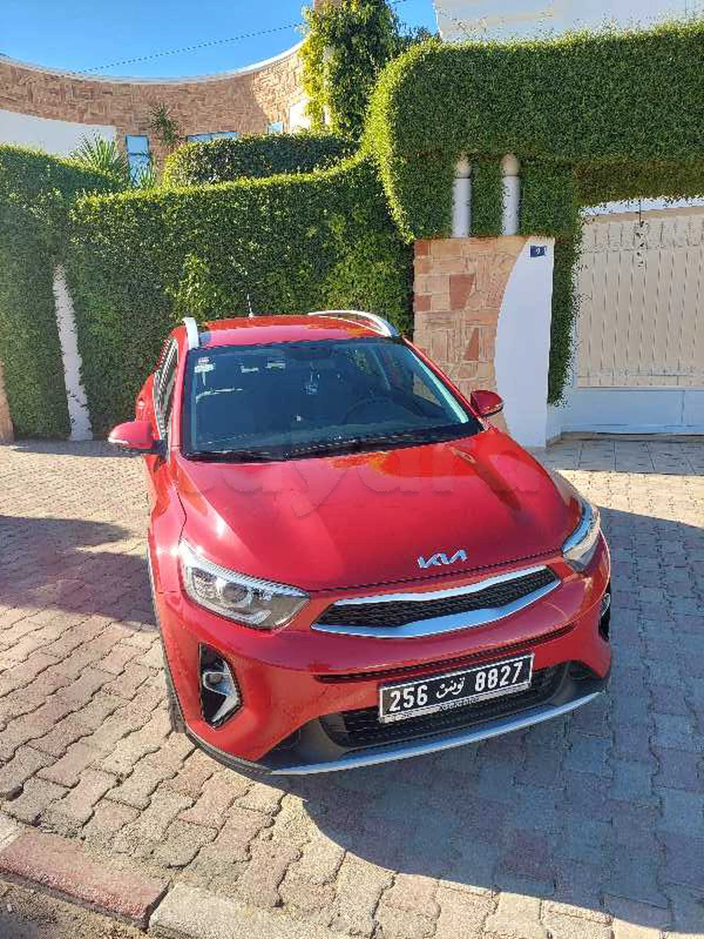 Carte voiture Kia Ceed