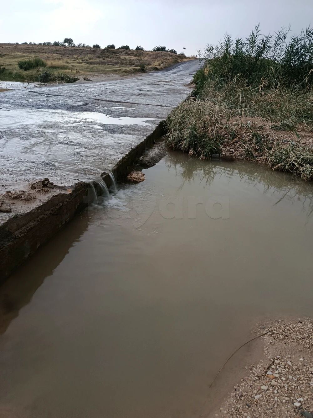 a vendre terrain agricole thala kasserine