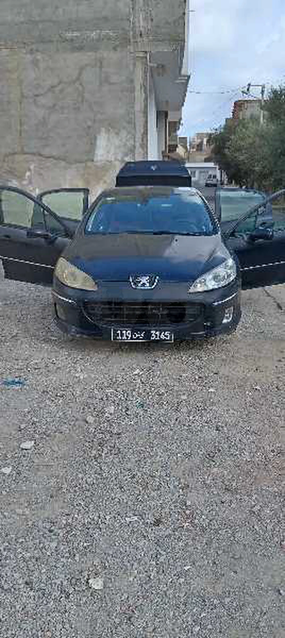 Carte voiture Peugeot 407