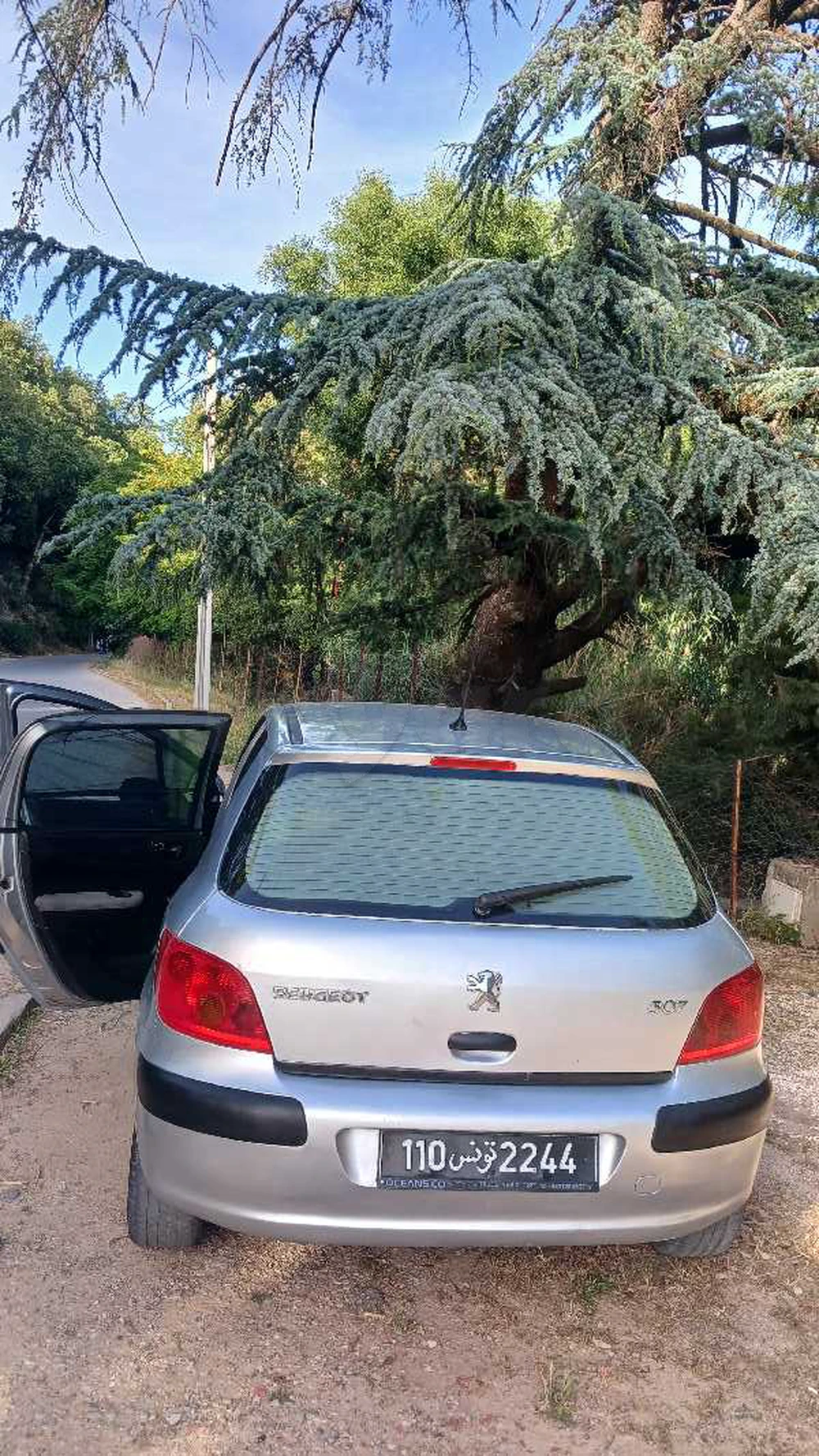 Peugeot 307