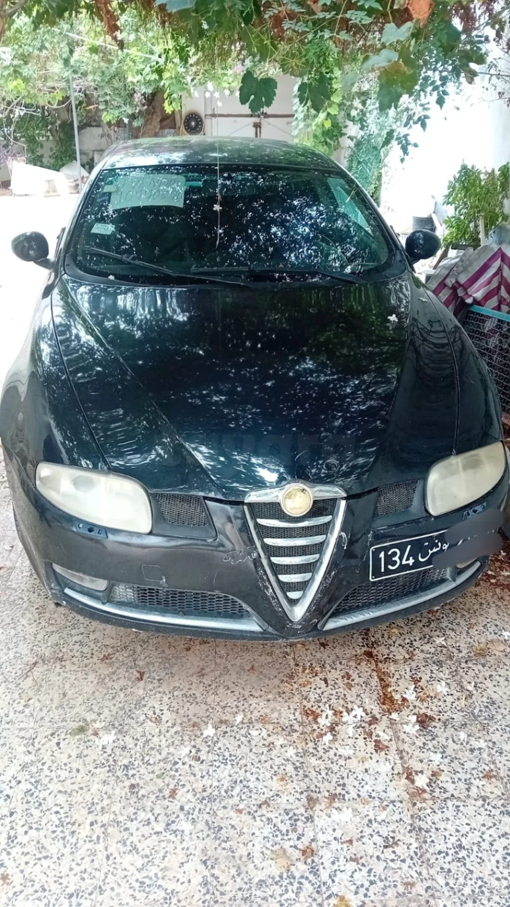 Alfa Romeo GT