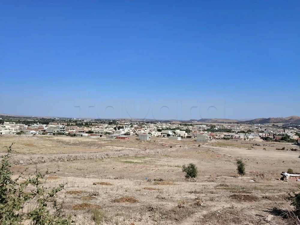TERRAIN À VENDRE — TÉBOURBA, LA MANOUBA 18550 m2