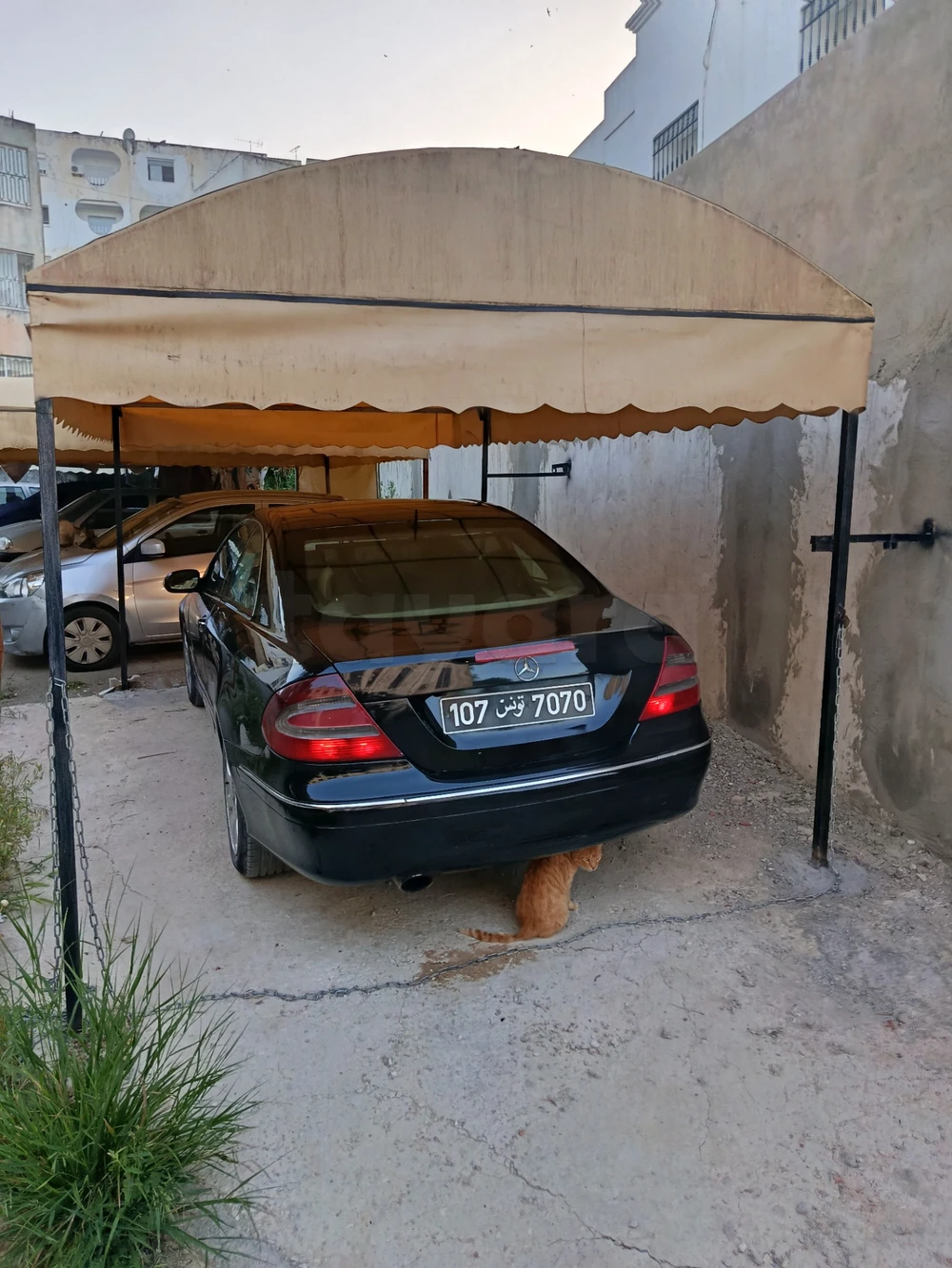 Carte voiture Mercedes-Benz Classe CLK