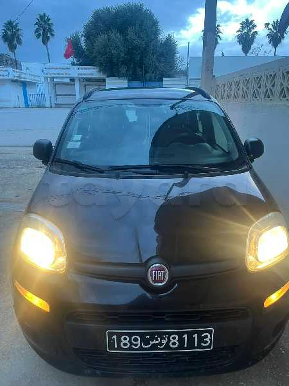 Carte voiture Fiat Panda
