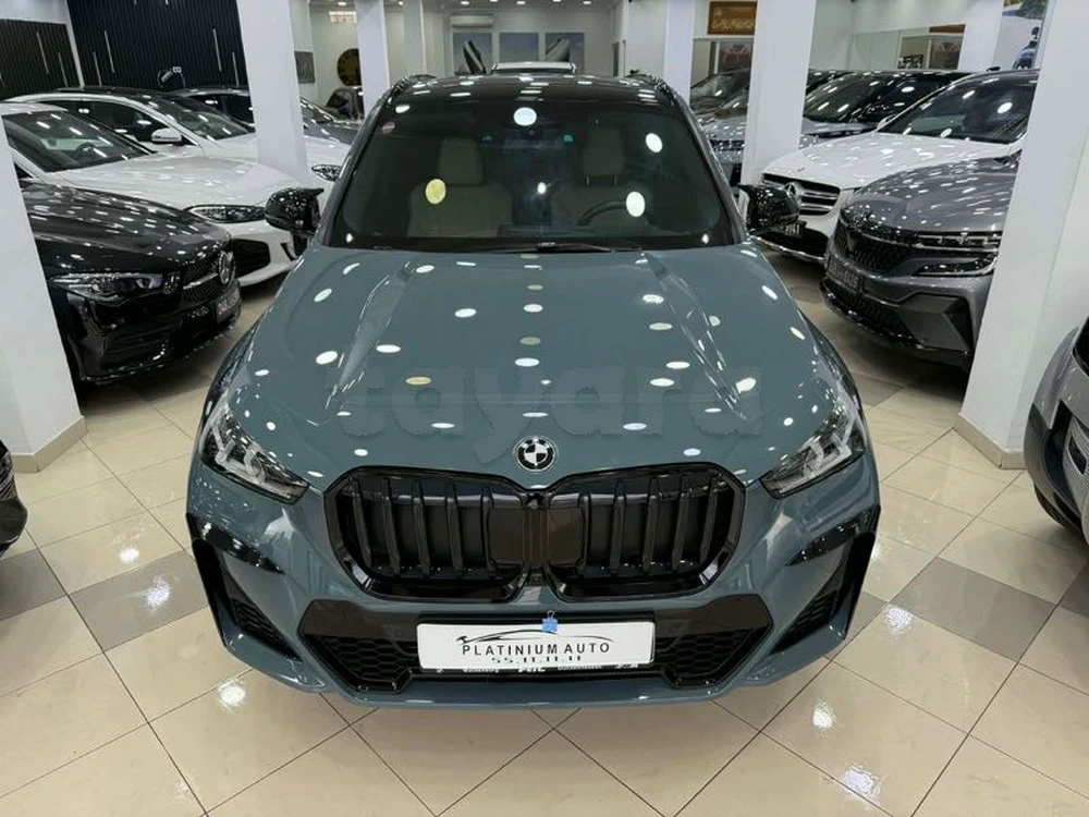 Carte voiture BMW X1