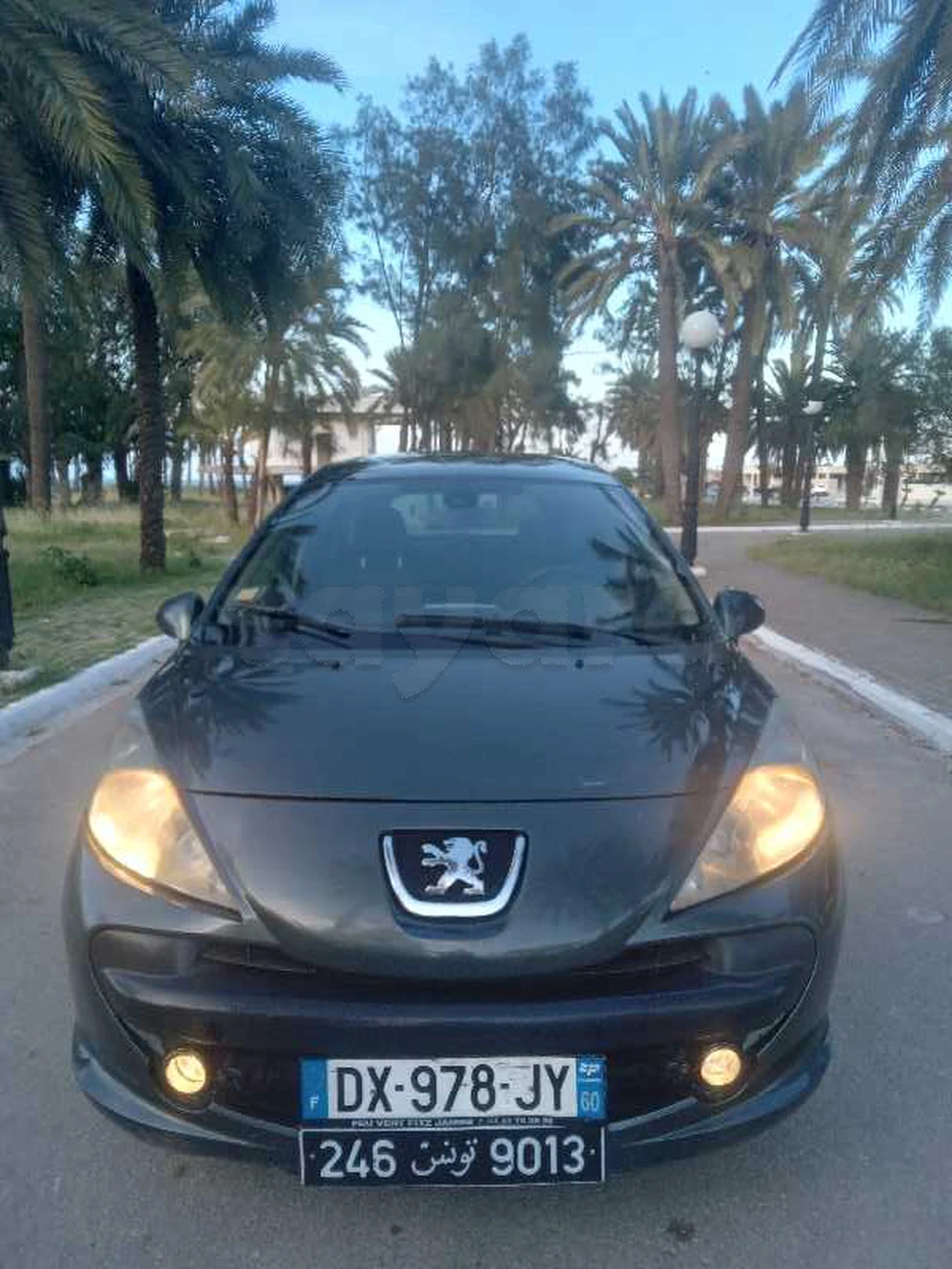 Peugeot 307