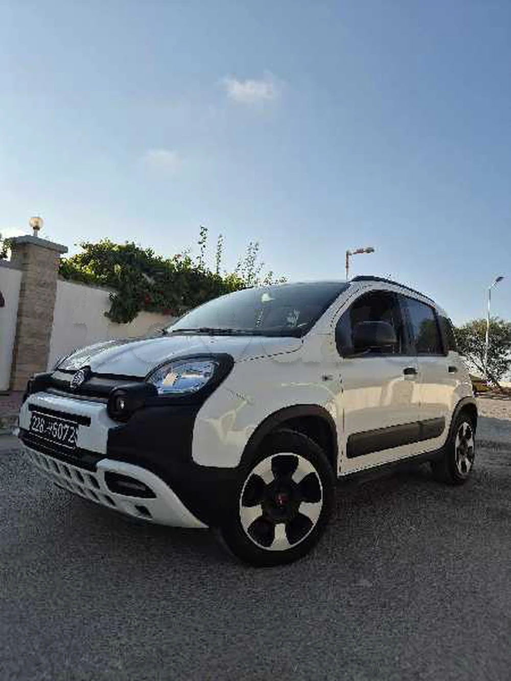 Carte voiture Fiat Panda