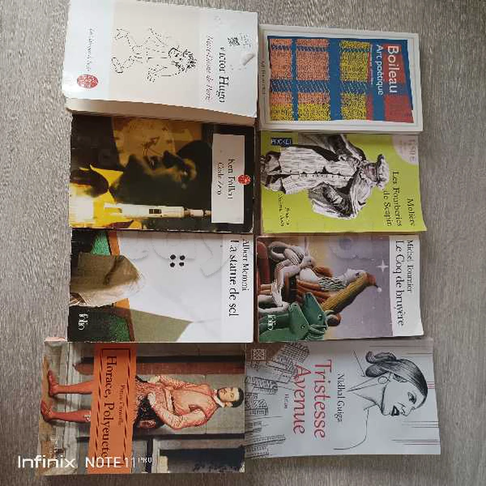 Lot de 8 livres romans et littérature française – Victor Hugo, Molière, Ken Follett et autres