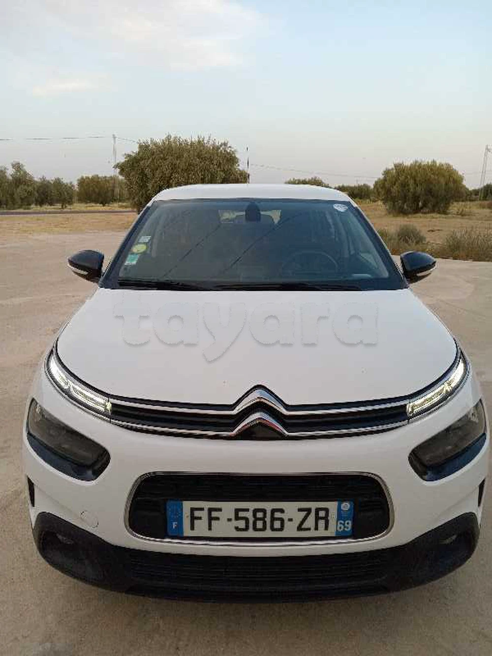 Carte voiture Citroen C4 Cactus