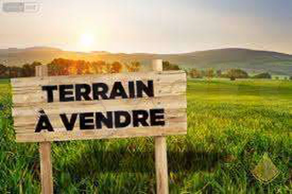 terrain 5500m²