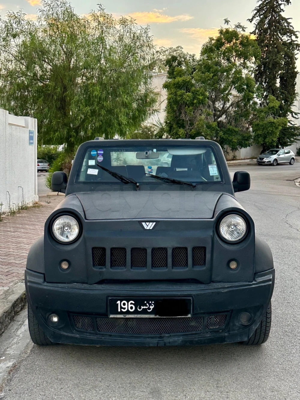 Wallyscar Iris