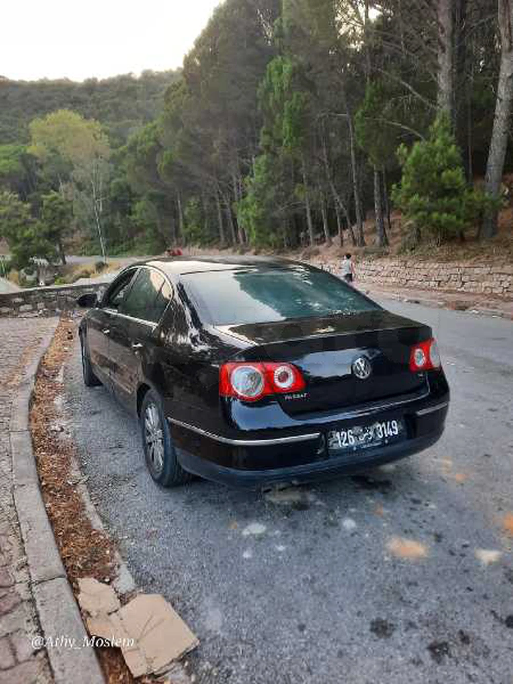 Carte voiture Volkswagen Passat