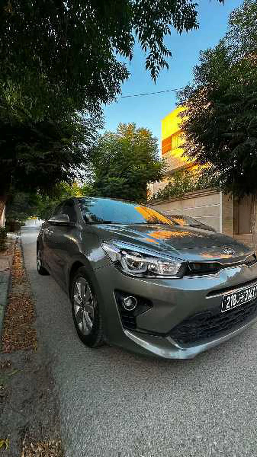 Kia Rio