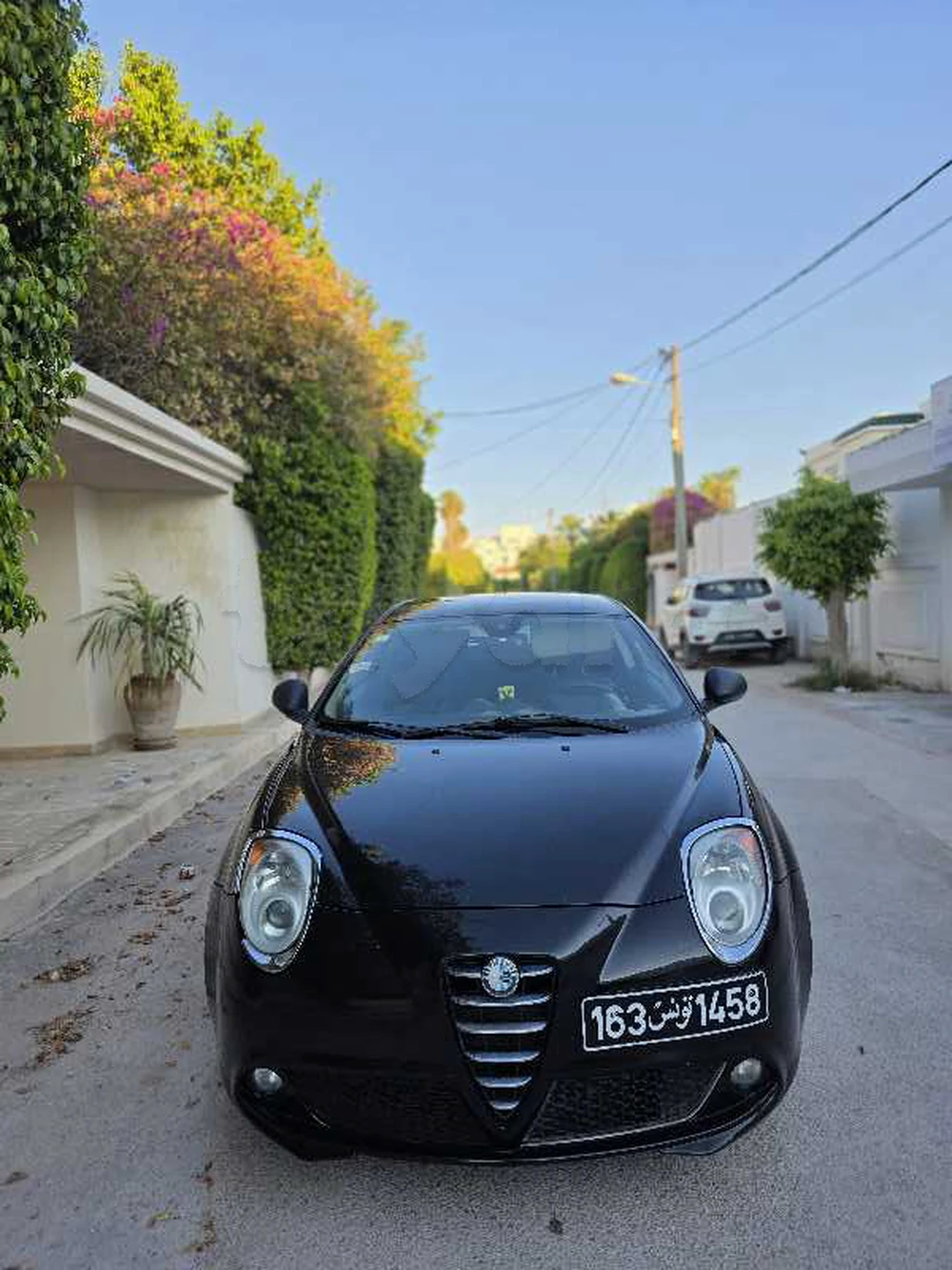 Carte voiture Alfa Romeo MiTo