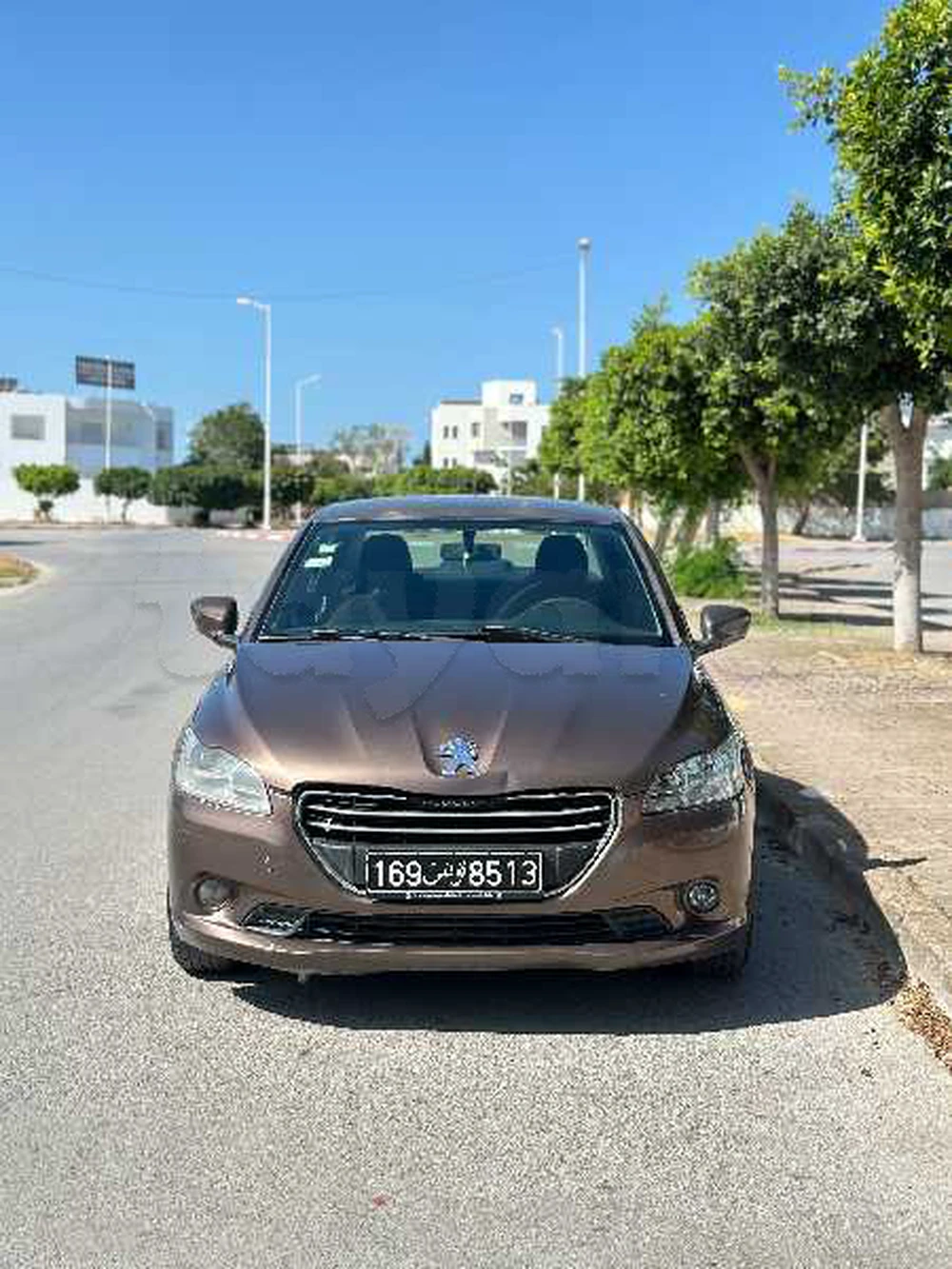 Carte voiture Peugeot 301