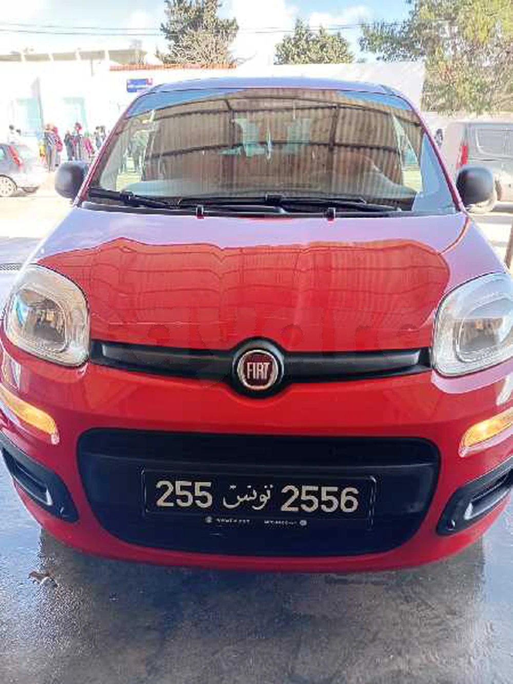 Carte voiture Fiat Panda