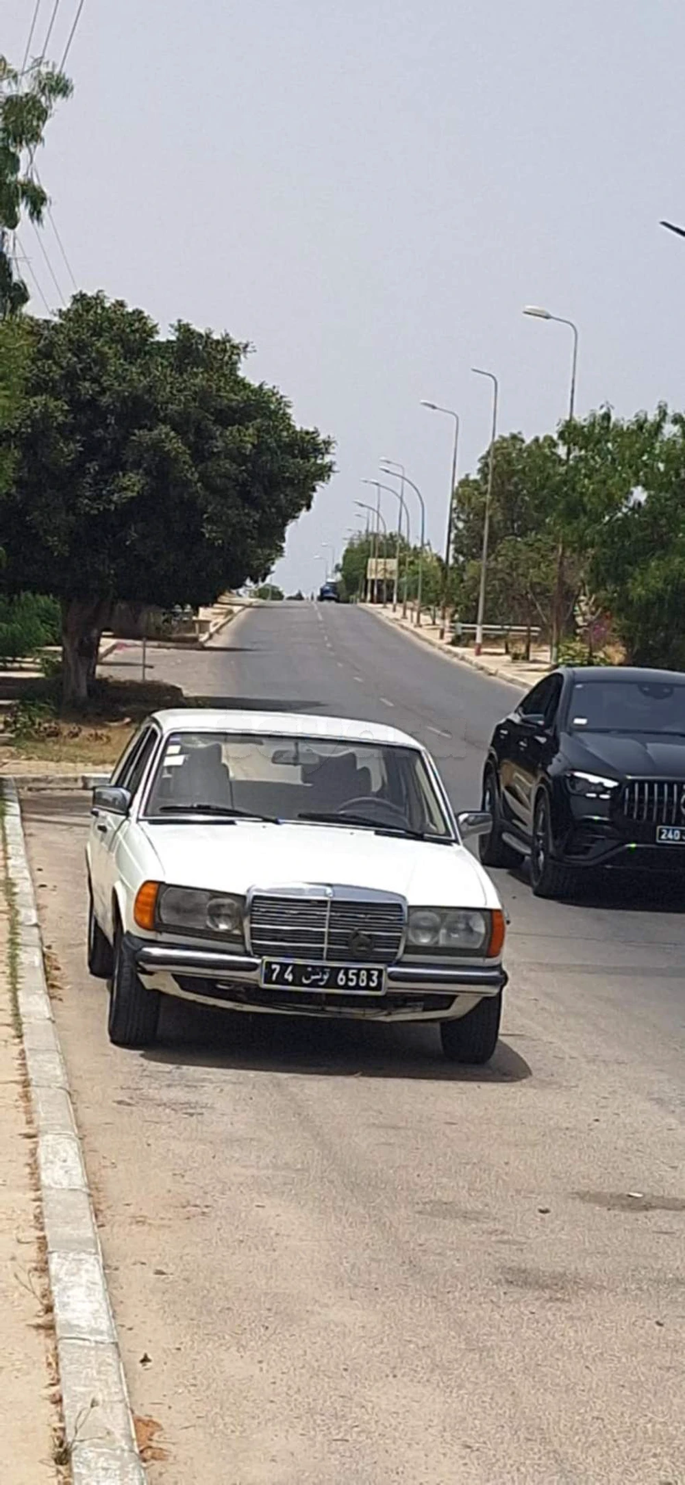 Carte voiture Mercedes-Benz 240