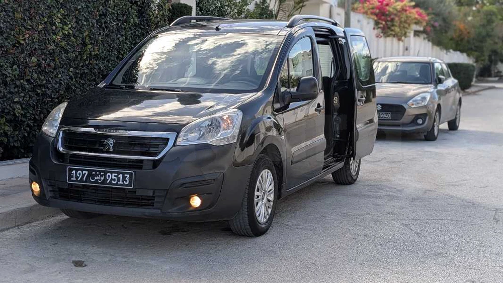 Peugeot Tepee