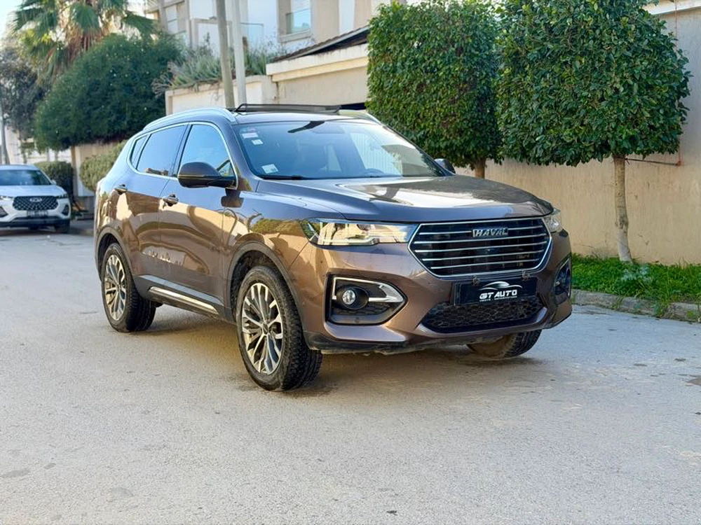 Carte voiture Haval H6