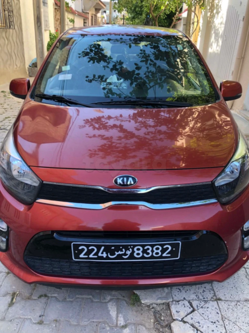Carte voiture Kia Picanto