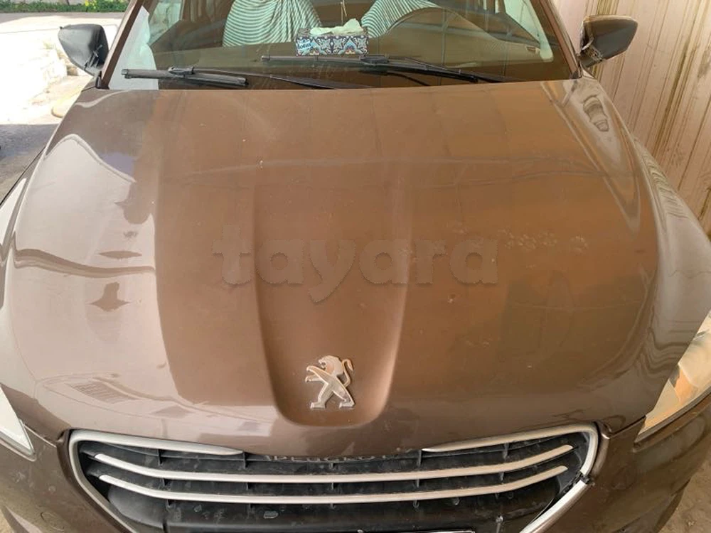 Carte voiture Peugeot 301