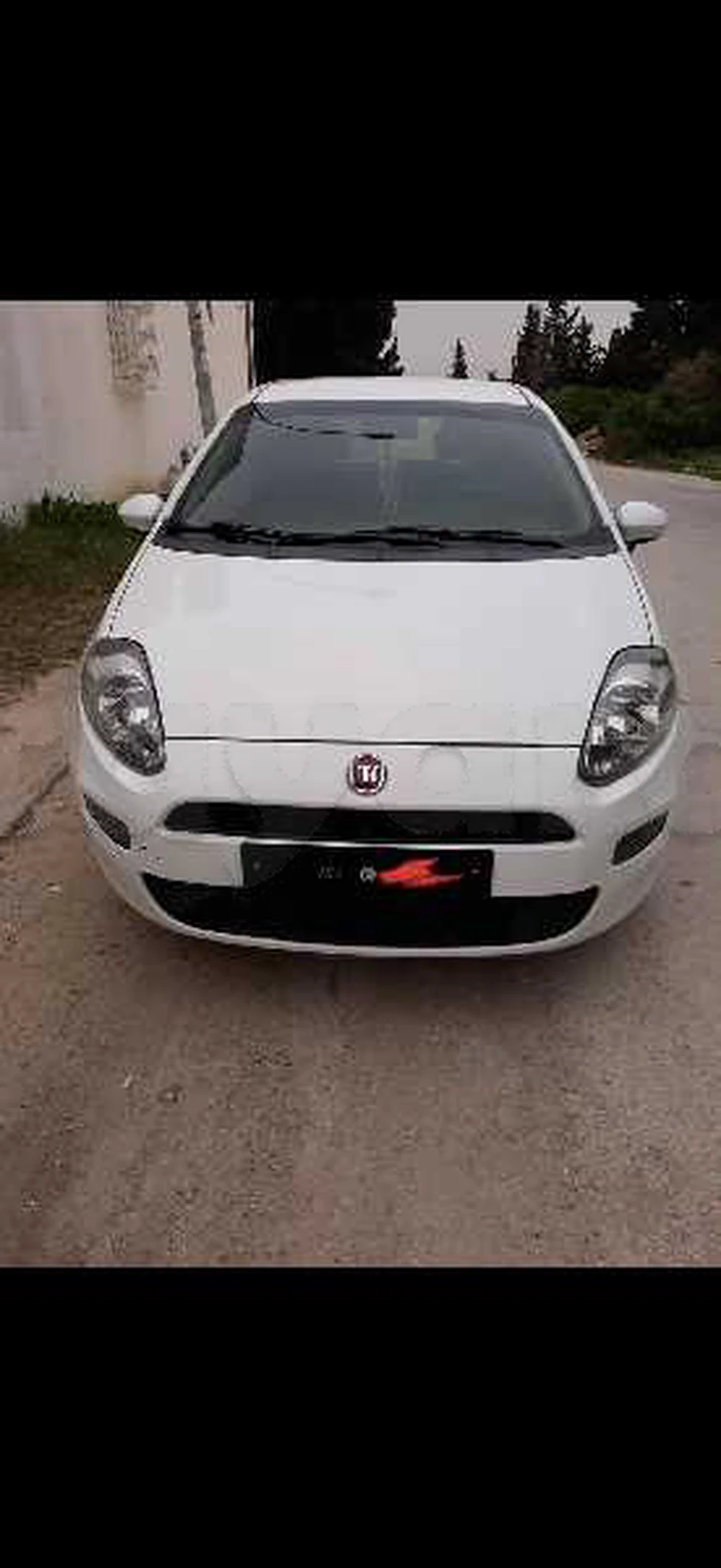 Carte voiture Fiat Punto