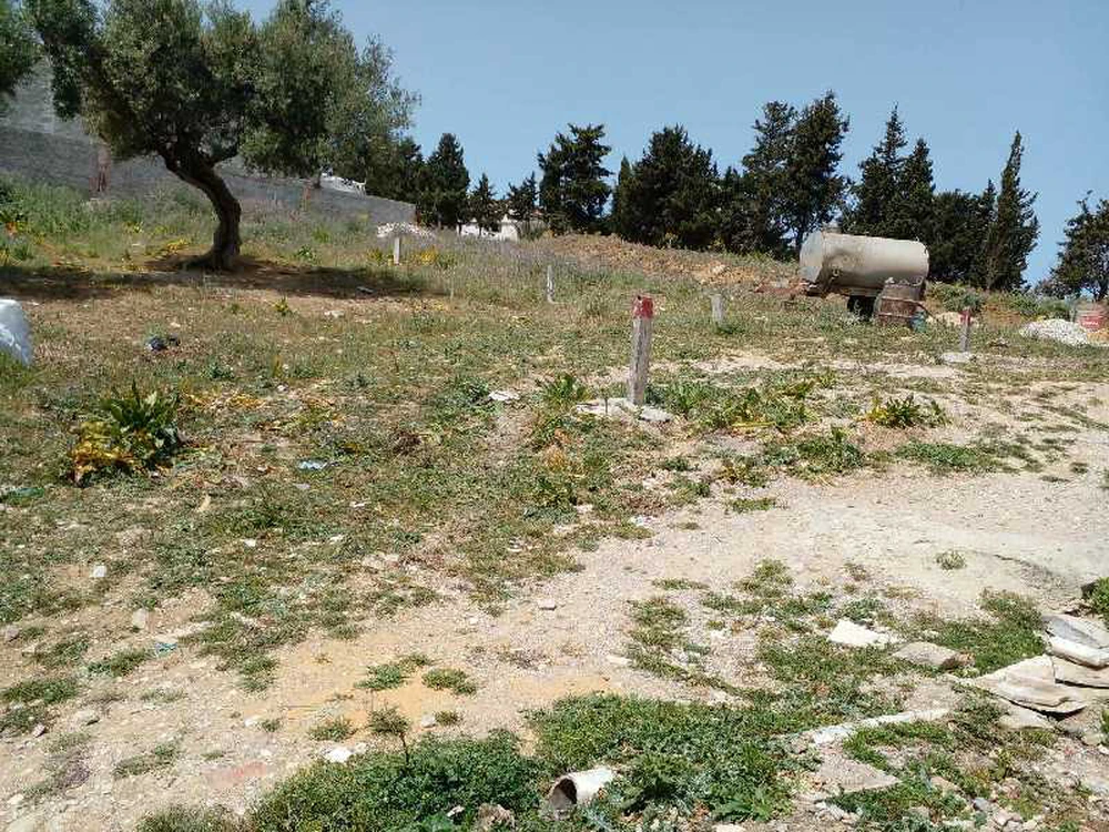 terrain a vendre